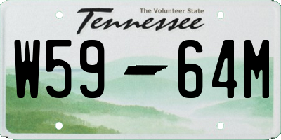 TN license plate W5964M