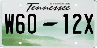 TN license plate W6012X