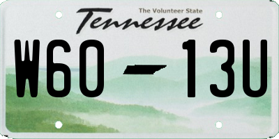 TN license plate W6013U