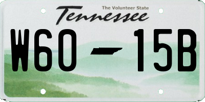 TN license plate W6015B