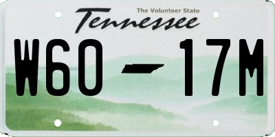 TN license plate W6017M