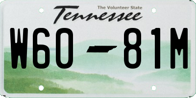 TN license plate W6081M