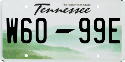 TN license plate W6099E