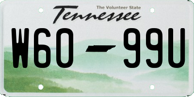 TN license plate W6099U