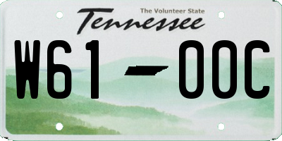 TN license plate W6100C