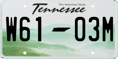 TN license plate W6103M