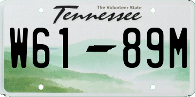 TN license plate W6189M
