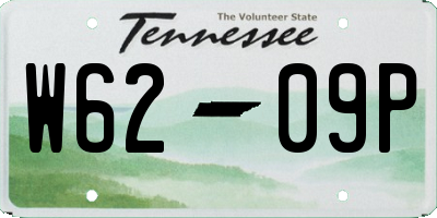 TN license plate W6209P