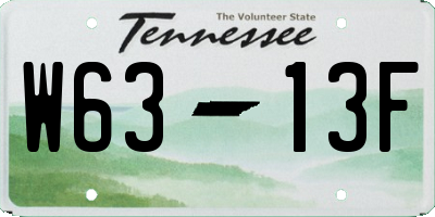 TN license plate W6313F