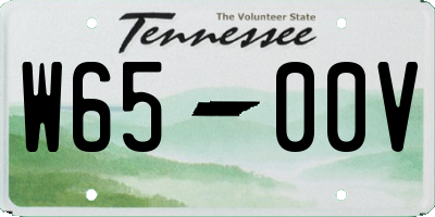 TN license plate W6500V