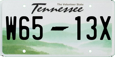 TN license plate W6513X