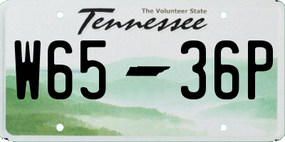 TN license plate W6536P