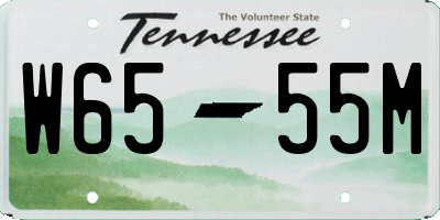 TN license plate W6555M