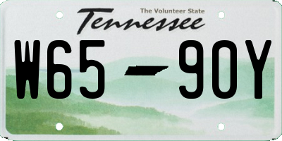 TN license plate W6590Y