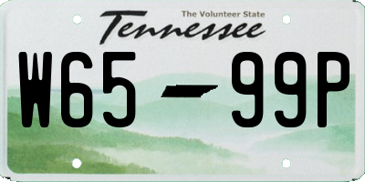 TN license plate W6599P