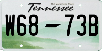 TN license plate W6873B