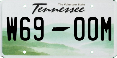TN license plate W6900M
