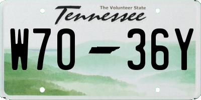 TN license plate W7036Y