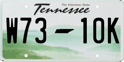 TN license plate W7310K