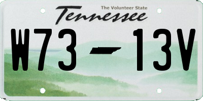 TN license plate W7313V