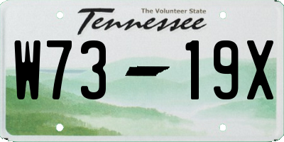 TN license plate W7319X