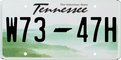 TN license plate W7347H