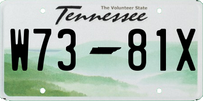 TN license plate W7381X