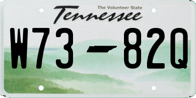 TN license plate W7382Q