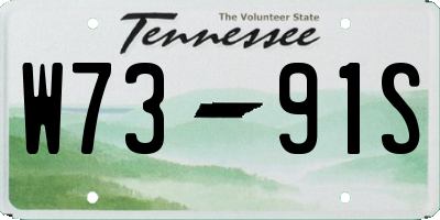 TN license plate W7391S