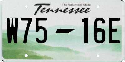 TN license plate W7516E