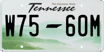 TN license plate W7560M