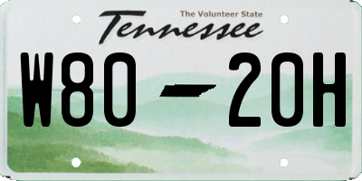 TN license plate W8020H