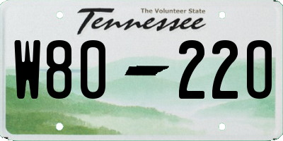 TN license plate W8022O
