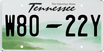 TN license plate W8022Y