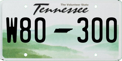 TN license plate W8030O