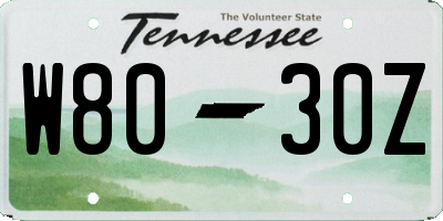 TN license plate W8030Z