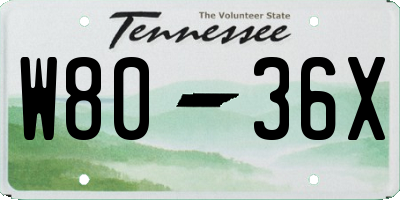 TN license plate W8036X
