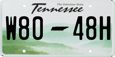 TN license plate W8048H