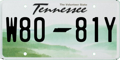 TN license plate W8081Y