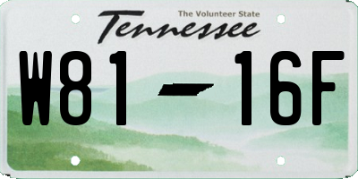 TN license plate W8116F