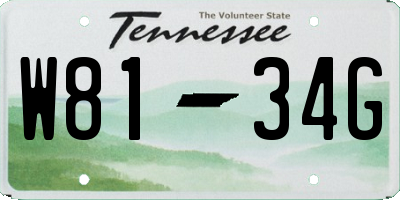 TN license plate W8134G
