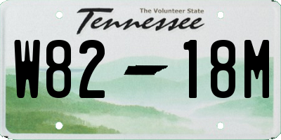 TN license plate W8218M