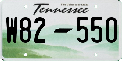 TN license plate W8255O