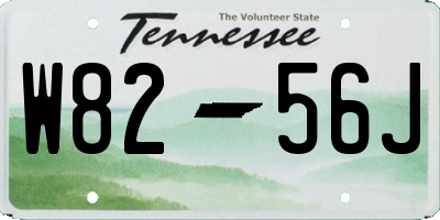 TN license plate W8256J