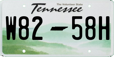 TN license plate W8258H