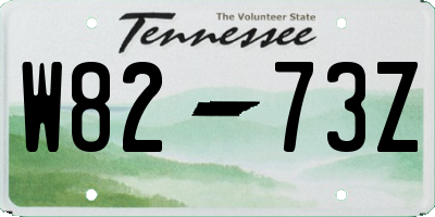 TN license plate W8273Z