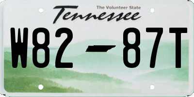 TN license plate W8287T