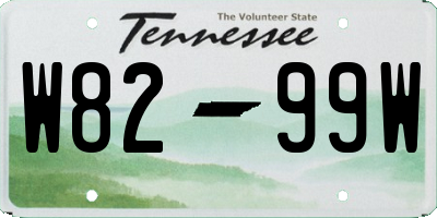 TN license plate W8299W