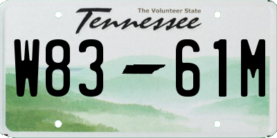 TN license plate W8361M