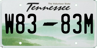 TN license plate W8383M